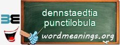 WordMeaning blackboard for dennstaedtia punctilobula